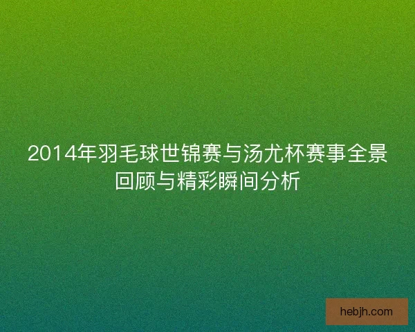 2014年羽毛球世锦赛与汤尤杯赛事全景回顾与精彩瞬间分析